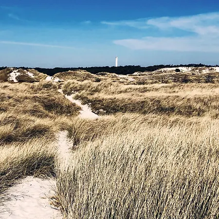 Harbour Sleep * Neksø
