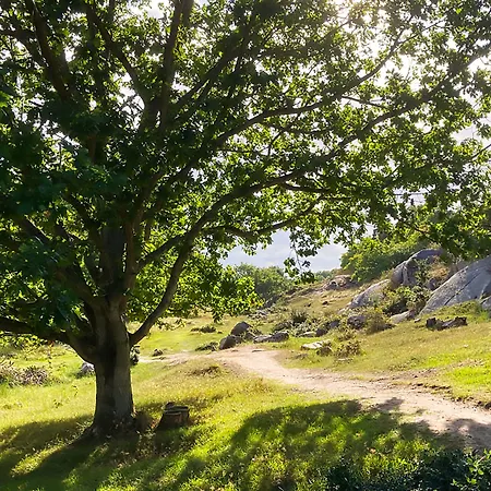 Harbour Sleep Neksø