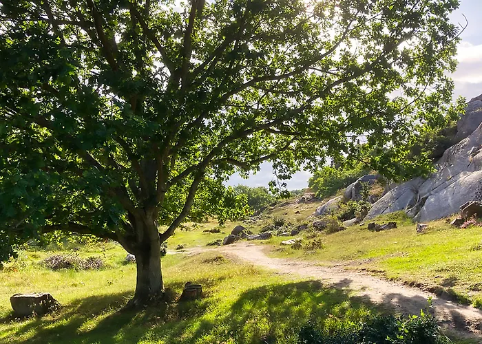 Harbour Sleep Neksø